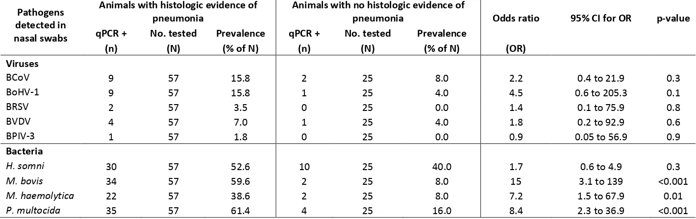 Table 8: Summary of results of qPCR detection of specific genetic material in nasal swab for pathogens in nasal swabs from 82 animals and for histology findings from lung tissues from the same animals