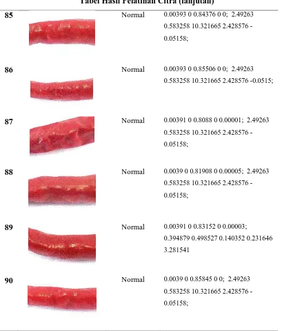 Tabel Hasil Pelatihan Citra (lanjutan) 