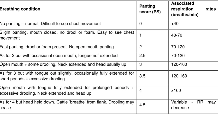Table 4.1: Breathing condition and panting score for heat stress in cattle 