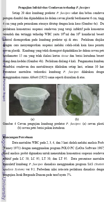 Gambar 4 Cawan pengujian kumbang predator P. fuscipes: (a) cawan plastik     