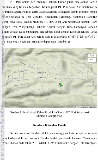 Gambar 2. Peta Lokasi Kebun Produksi Cibodas PT. Puri Sekar Asri 