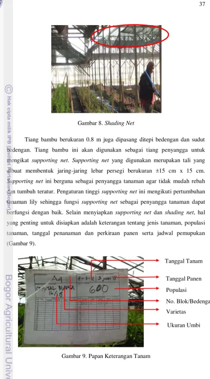 Gambar 9. Papan Keterangan Tanam  