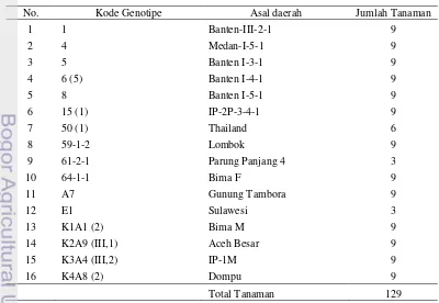 Tabel 1. Kode Genotipe, Asal Daerah, dan Jumlah Tanaman Jarak Pagar 