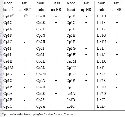 Tabel  1 Sifat patogenisitas isolat-isolat bakteri penghasil siderofor   