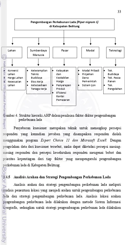 Gambar 4. Struktur hierarki AHP dalam penilaian faktor-faktor pengembangan  