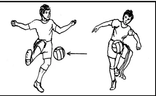 Gambar 2 . Teknik Menghentikan Bola dengan Kaki Bagian Dalam dan Paha                    (Remmy Muchtar, 1992: 33)  