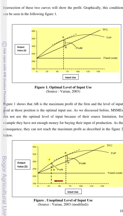 Figure 1. Optimal Level of Input Use 