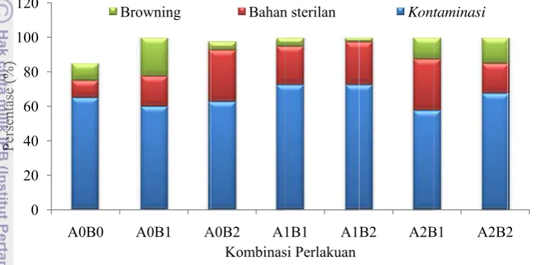 Gambar 3  Eksplan yaang terkontam
