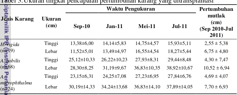 Tabel 3. Ukuran tingkat pencapaian pertumbuhan karang yang ditransplantasi 