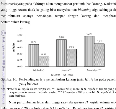 Gambar 16.  Perbandingan laju pertumbuhan karang jenis  H. rigida pada penelitian 