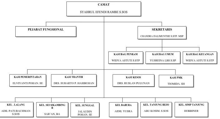 Gambar 7 : Struktur Organisasi Camat Medan Sunggal 