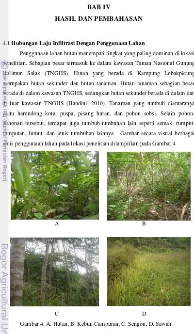 Gambar 4. A. Hutan; B. Kebun Campuran; C. Sengon; D. Sawah 