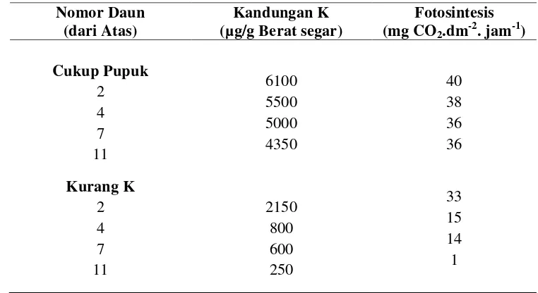Tabel 1. Kandungan Kalium dan Fotosintesis daun jagung