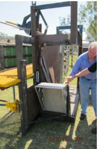 Figure 6 - The hinged door that releases the head bale and allows the animal to exit the restraining box
