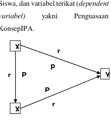 Gambar 1.1. paradigma penelitian 