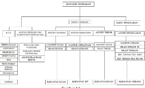 Gambar 4.1 Struktur Organisasi PT Perkebunan Nusantara II Kebun Klumpang Sumber: PT Perkebunan Nusantara II Kebun Klumpang 