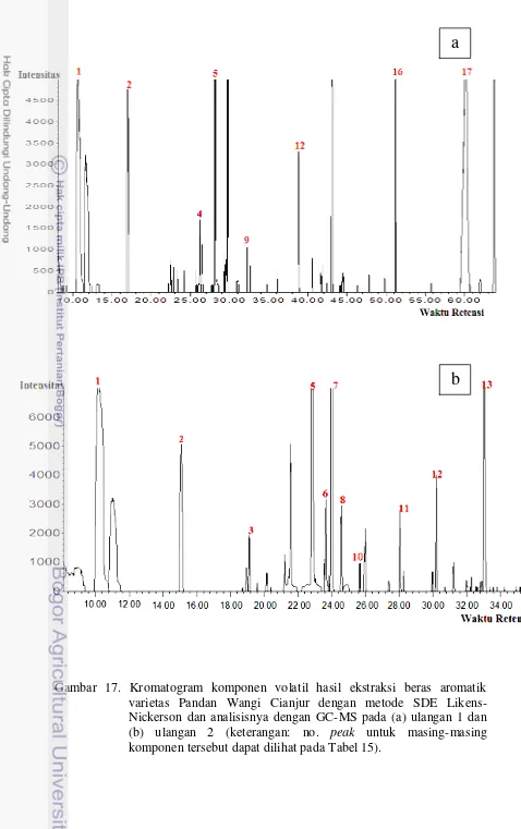 Gambar 17. Kromatogram komponen volatil hasil ekstraksi beras aromatik 