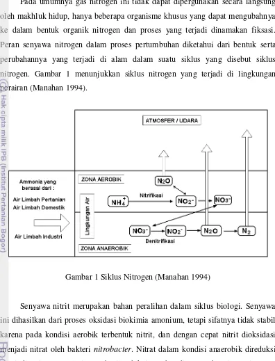 Gambar 1 Siklus Nitrogen (Manahan 1994) 