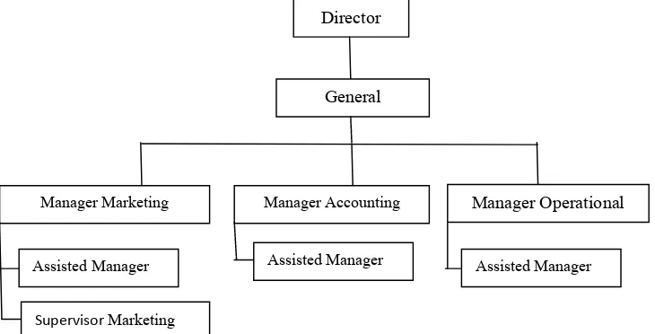 Gambar 2.8 : Struktur Organisasi