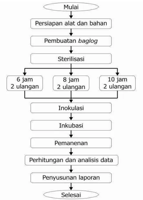 Gambar 1  Diagram alir penelitian. 