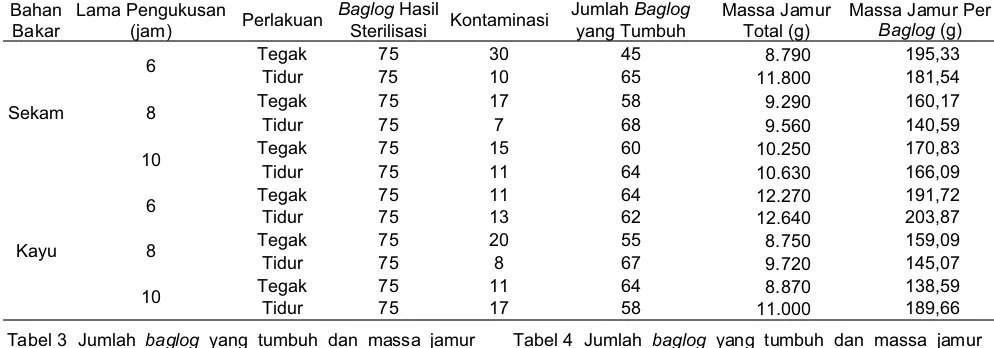 Tabel 3 Jumlah baglog yang tumbuh dan massa jamur 
