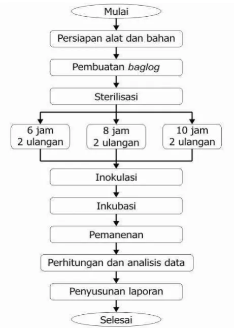 Gambar 1  Diagram alir penelitian. 