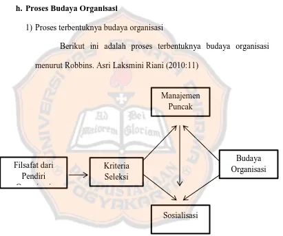 Gambar II.3 Proses Terbentuknya Budaya Organisasi 