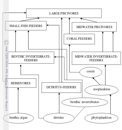 Gambar 4  Inter-relasi trofik utama antar ikan di terumbu karang, terdapat 5  trofik 