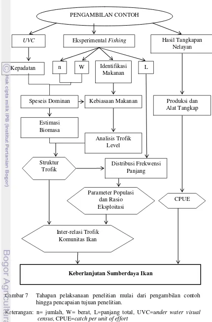 Gambar 7  Tahapan pelaksanaan penelitian mulai dari pengambilan contoh 