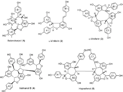 Gambar 1. Struktur oligomer resveratrol dari D. lanceolata