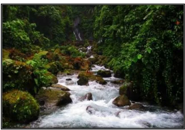 Gambar 3.1. Lokasi Penelitian di Sungai dalam Areal Hutan Masyarakat 