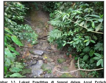 Gambar 3.2. Lokasi Penelitian di Sungai dalam Areal Perkebunan Masyarakat 