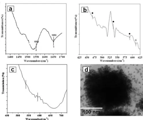 Figure 3. a, b) SEM images recorded from two different regions of drop coated films of copper oxide obtained after 42 h