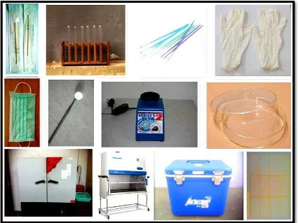 Gambar 4. Alat-alat penelitian yang digunakan (dokumentasi) 