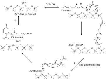 Fig 4. The proposed mechanism for the cyclisation-acetylation of (R)-(+)-citronellal using Zn2+-Natzeo catalyst