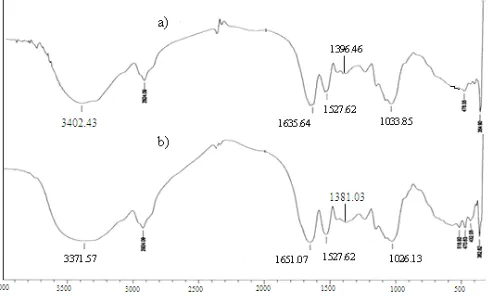 Fig 1. Infrared spectra of S. cerevisiae biomassbefore (a) and after (b) interacting with Au(III)