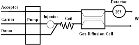 Fig 1. Diagram of the experimental FI system