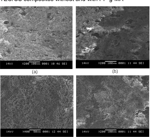 Fig 4. SEM micrograph of tensile fracture surface ofTEO/CS composites (a) without PP-g-MA (20 php,200x), (b) with PP-g-MA (40 php, 200x), (c) with PP-g-MA (20 php, 400x), (b) without PP-g-MA (40 php, 200x)