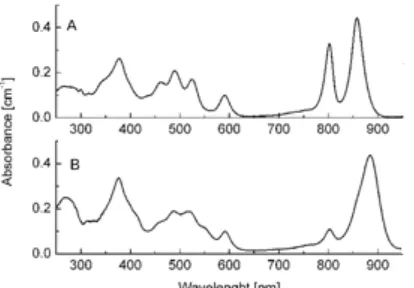Fig 2. Room temperature absorption spectra of LH2 and LH1 complexes from Rhodopseudomonas acidophila 10050