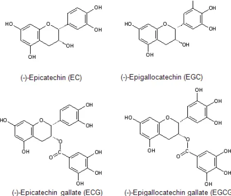 Fig 1. The chemical structures of some green tea poliphenol as catechin derivate 