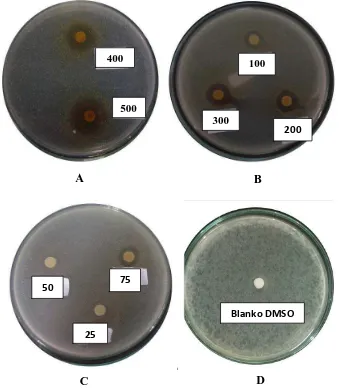 Gambar hasil uji aktivitas antibakteri ekstrak etanol kulit buah  markisa ungu  terhadap bakteri Escherichia Coli 