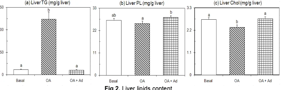 Fig 2.  Liver lipids content Rats were paired-fed OA supplemented diet with/or without adenine or a diet without OA (basal diet) for 10 days