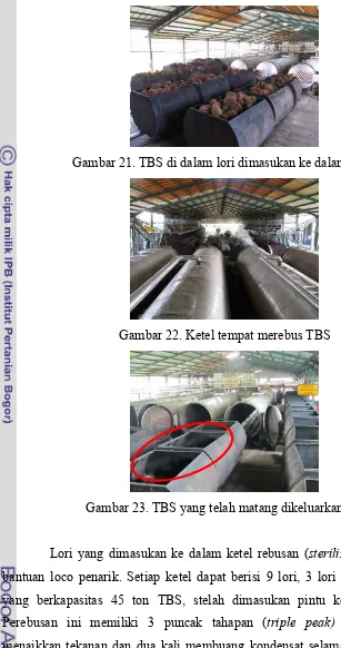 Gambar 21. TBS di dalam lori dimasukan ke dalam ketel 