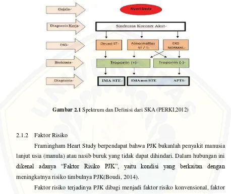 Gambar 2.1 Spektrum dan Definisi dari SKA (PERKI,2012) 