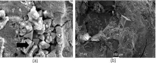 Fig 8. SEM images of (a) corundum-added geopolymerand(b)quartz-addedgeopolymer.→: unreacted corundum crystalline phase