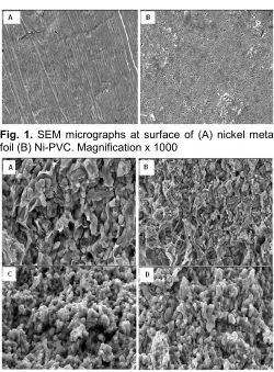 Fig. 1. SEM micrographs at surface of (A) nickel metal
