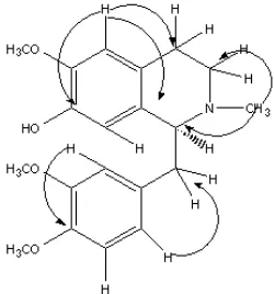 Fig 1. Structure of benzylisoquinoline alkaloids from C.Rugulosa