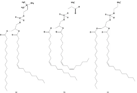 Fig 2. Proposed structutres of Phospholipids (PLs) present in Pumpkin Seed : a) phosphatidylcholine (PC); b)phosphatidylserin (PS); c) phosphatidylethanolamine (PE)