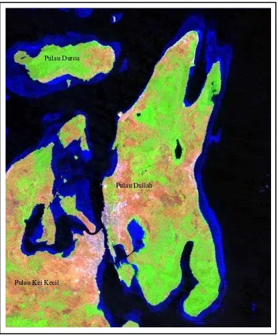 Gambar 2  Citra satelit Pulau Dullah dengan komposit RGB 542   