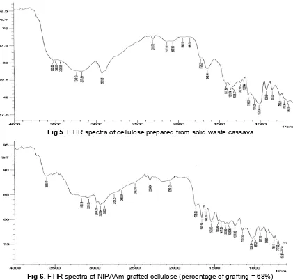 Fig 5. FTIR spectra of cellulose prepared from solid waste cassava